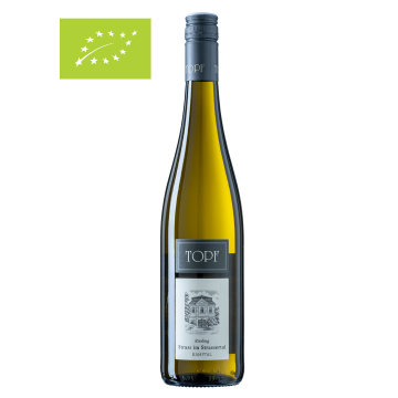 Riesling <br>Strass im Strassertal BIO